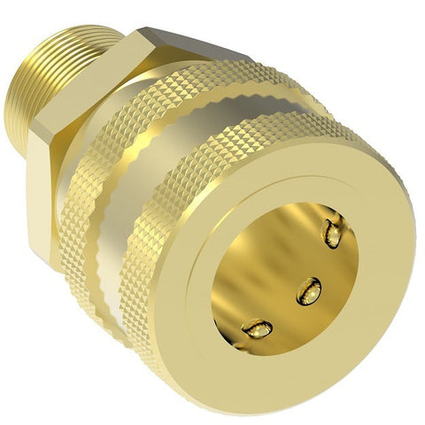 BRASS SOCKET 1/2