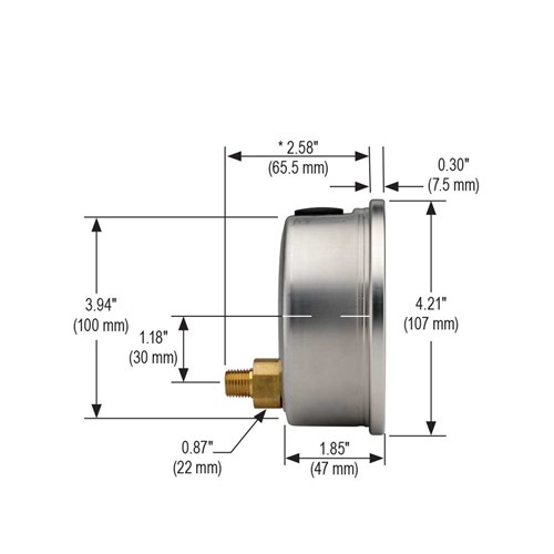 Pressure Gauge 4" 0-200psi Stainless