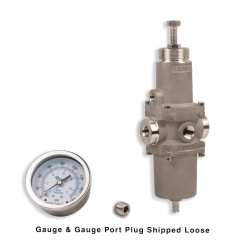 FILTER/REGULATOR W/ GAUGE