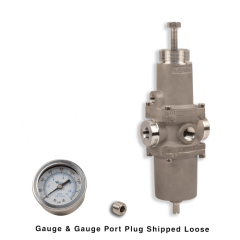 Filter Regulator Asy w/Gauge,